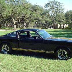 new 66 shelby 090