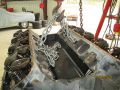 IMG 5581