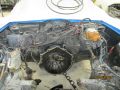 IMG 5591