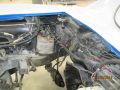 IMG 5597
