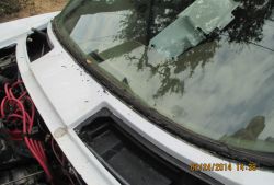 IMG 1397 022414  2 