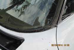 IMG 1397 022414  3 