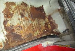 IMG 4829   061415  5 