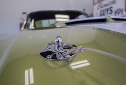 Pic 44888
