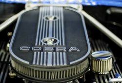 pic 22789