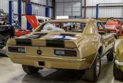 Pic 65464