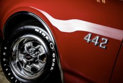 Pic 73240