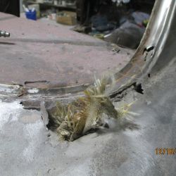 bowen   img 0444   12162020  