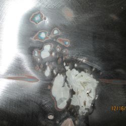 bowen   img 0444   12162020  