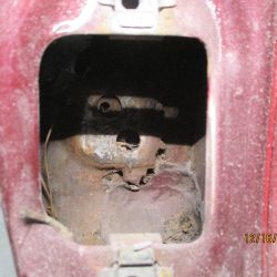 bowen   img 0444   12162020  