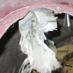 bowen   img 0444   12162020  