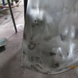 bowen   img 0444   12162020  