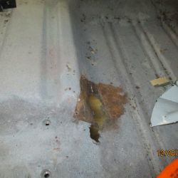 bowen   img 1319  282020  