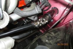 bowen   img 7880   042022  