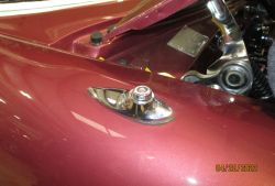 bowen   img 7880   042022  