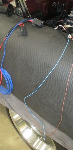 bowen   img 7974   050922  