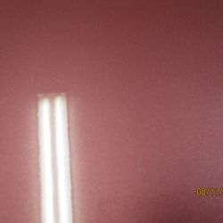 bowen   img 8414   08112021  