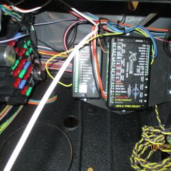 billig   img 6589.jpg   09232020  