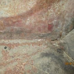 collin   img 0629   09072021  