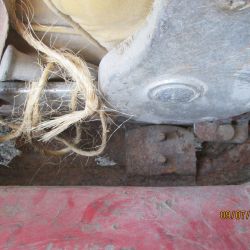 collin   img 0629   09072021  