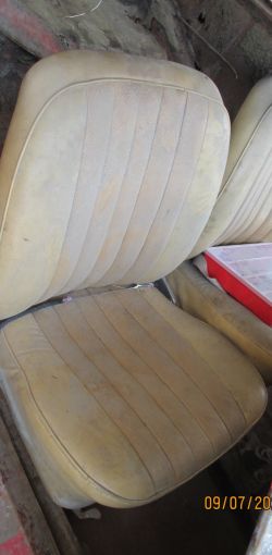 collin   img 0629   09072021  