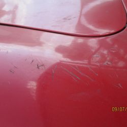 collin   img 0629   09072021  