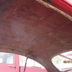 collin   img 0629   09072021  