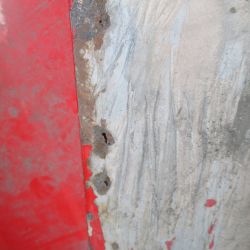 collin   img 0629   09072021  