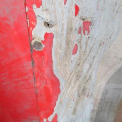 collin   img 0629   09072021  