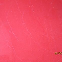 collin   img 0629   09072021  