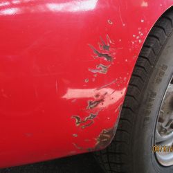 collin   img 0629   09072021  