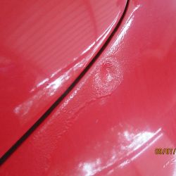 collin   img 0629   09072021  