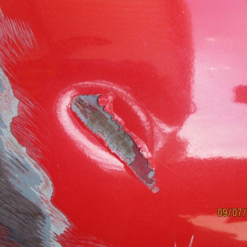 collin   img 0629   09072021  