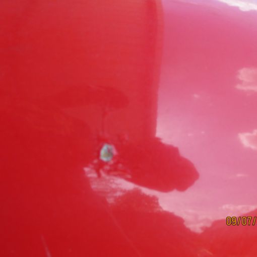 collin   img 0629   09072021  