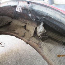 collin   img 0629   09072021  