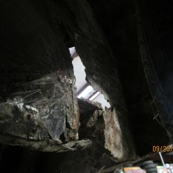 collin   img44   09232021  