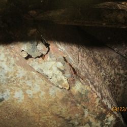 collin   img 1144   09232021  