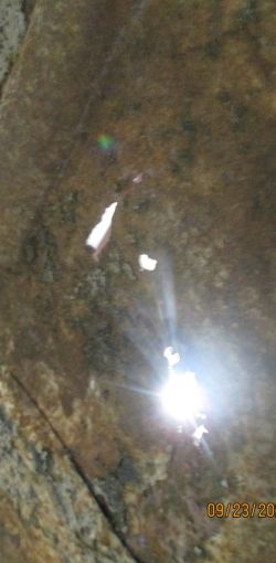 collin   img 1144   09232021  