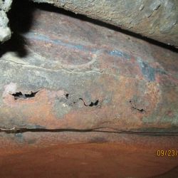 collin   img 1144   09232021  