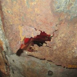 collin   img 1144   09232021  