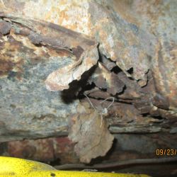 collin   img 1144   09232021  