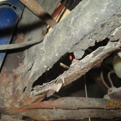 collin   img 1144   09232021  