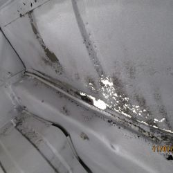 collin   img 2720   11012021  