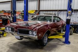 Pic 65765