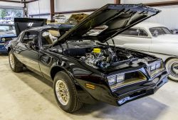 Pic 65790