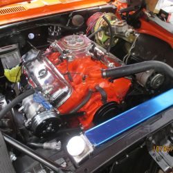 cruz   img690  0052021  