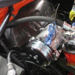 cruz   img 1690   10052021  