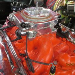 cruz   img 1690   10052021  