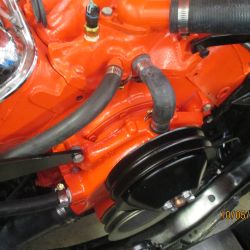 cruz   img 1690   10052021  