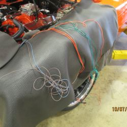 cruz   img744  0072021  